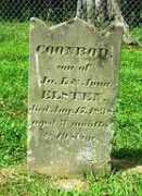 rootsweb.ancestry.com Elsten