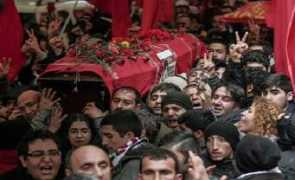 inquisitr.com Elvans