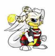 neopets.com Elwing