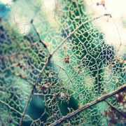 emauz.deviantart.com Emauz