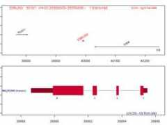 atlasgeneticsoncology.org Emilin