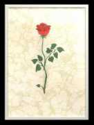 kalemguzeli.net Enginol