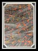 kalemguzeli.net Enginol