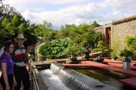 pandapirate.free.fr Enlyn