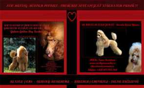 poodle-rebels.cz Epuras