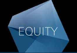 Equity