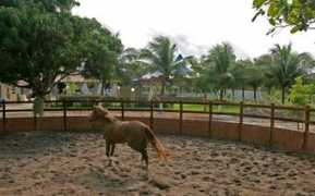 panoramio.com Equoterapia