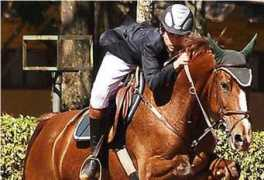 ecoviagem.uol.com.br Equoterapia