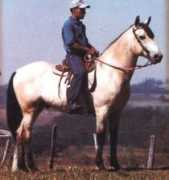 psiquiatriageral.com.br Equoterapia