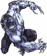Equus