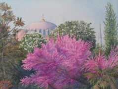 betulaydiner.com Ergok