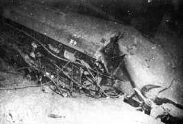 vietnamnet.vn Eridis