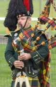 electricscotland.com Ermutlu