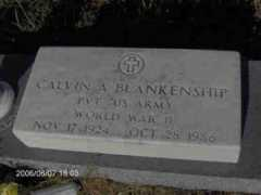 cemeteries-of-tx.com Ernesteen