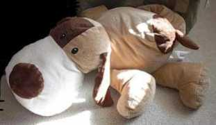 spikys-welt.de Ernsta