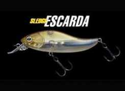 Escarda