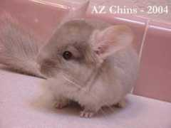 azchins.com Esmerelda