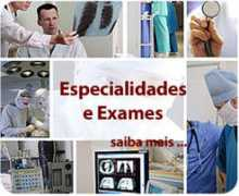 Especialidad