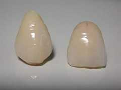 infodental.it Estenia
