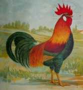 agraria.org Esterne