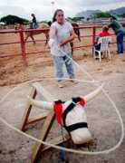 archives.starbulletin.com Estocado