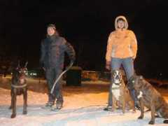 dobermann.ru Estrice