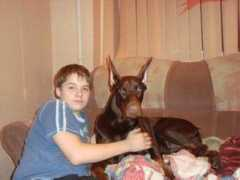 dobermann.ru Estrice