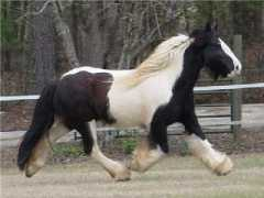 Etaine