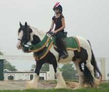 Etaine