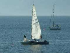 Etchells