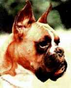 Ethelia