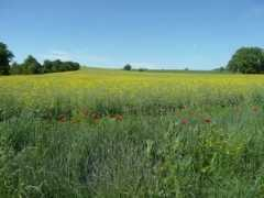 panoramio.com Euzet