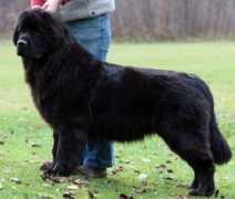 kloofbear.com Evja