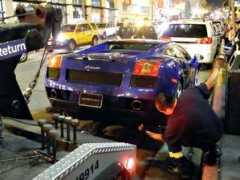 sfcitizen.com Exoticar