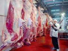 entornointeligente.com Exportador