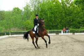Fabip