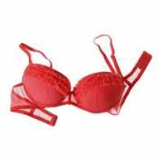 laptitebulledelo.com Fabiz