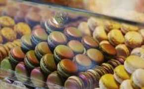 telegraph.co.uk Fagliano