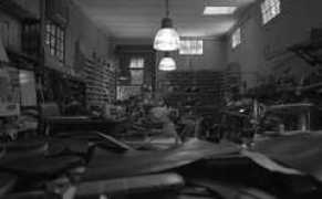 telegraph.co.uk Fagliano