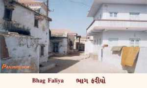panjokutch.com Faliya