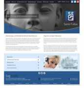 navegabem.com Faltas
