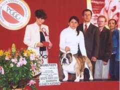 bulldogpedigree.com Fanaia