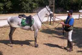 panoramio.com Fander