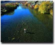 angleradventures.com Farios