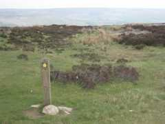 Farndale