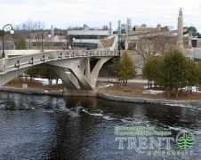 trentu.ca Faryon