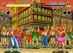 Fatalfury