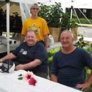 tropicalhibiscus.com Faulls