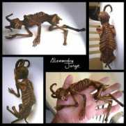 forgetomori.com Faunus