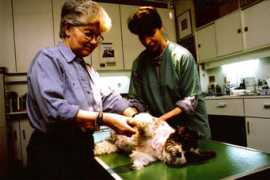 jacquelinepeker.com Faupin